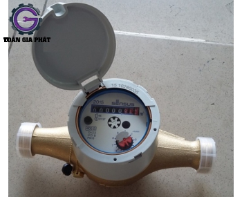 Đồng hồ đo lưu lượng nước nối ren Sensus